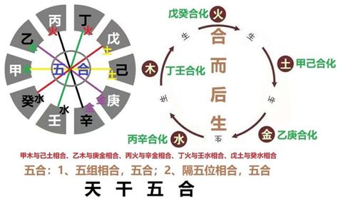 天干五合原理|天干合化的4种解释，天干五合怎么合出来的，天干关。